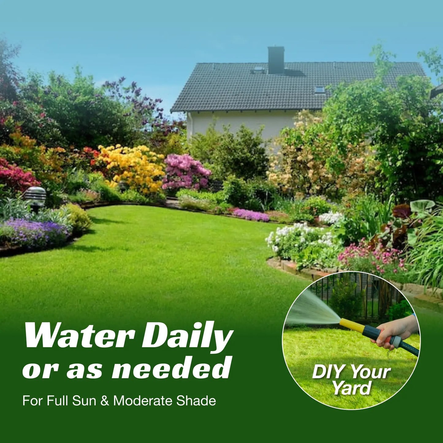 Premium Grass Seeds Sun & Shade - Hardy Lawn Seeds for Dense Green Turf
