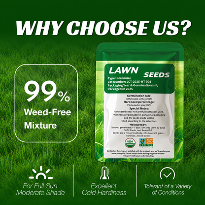 Premium Grass Seeds Sun & Shade - Hardy Lawn Seeds for Dense Green Turf