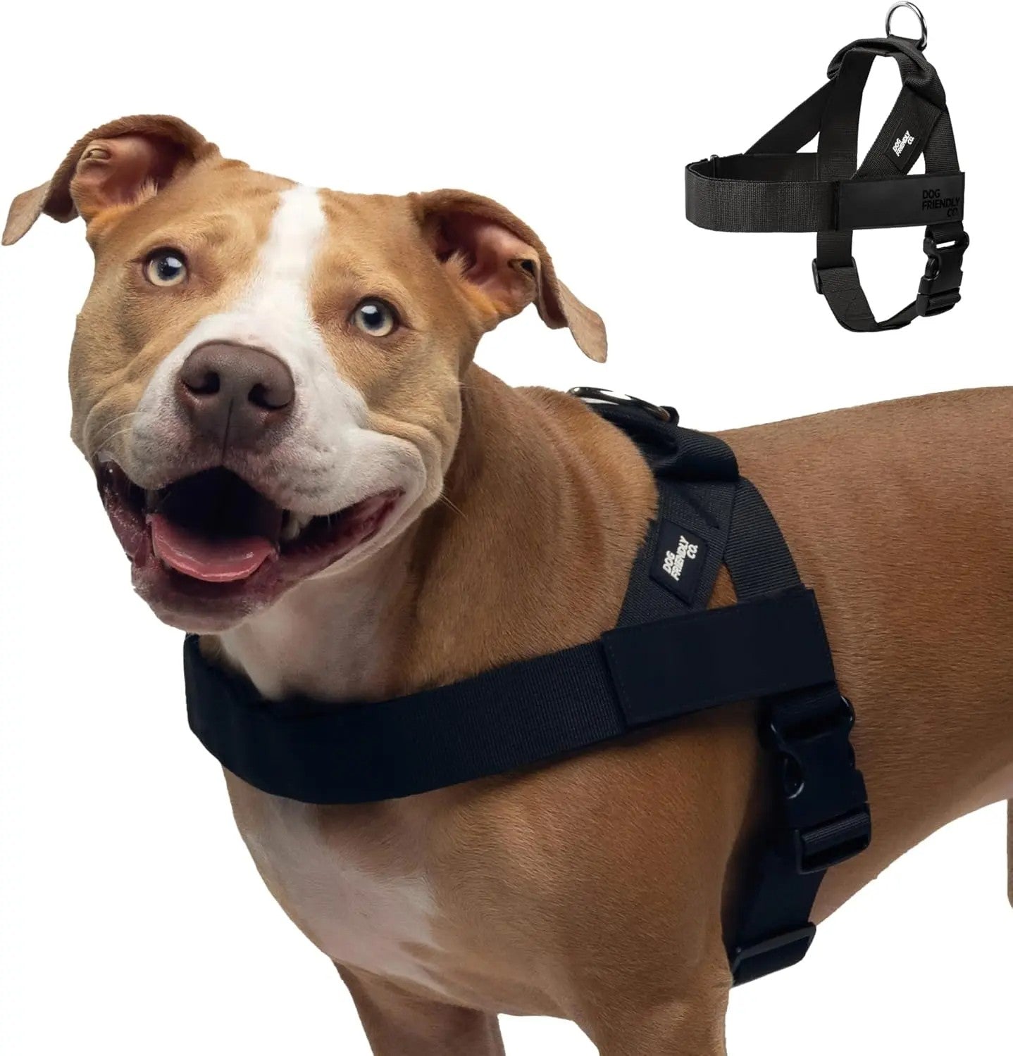Harness - Easy to Fit No-Pull Design