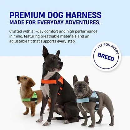 Harness - Easy to Fit No-Pull Design