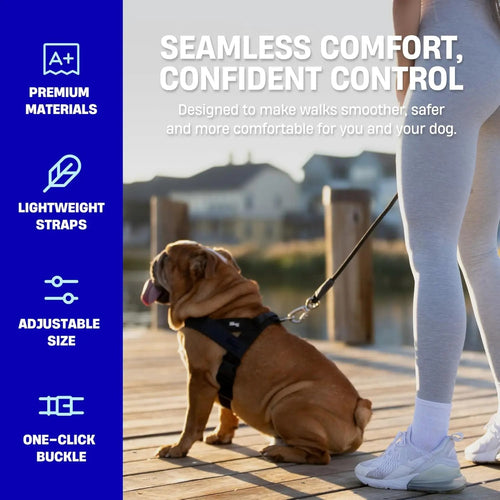 Harness - Easy to Fit No-Pull Design