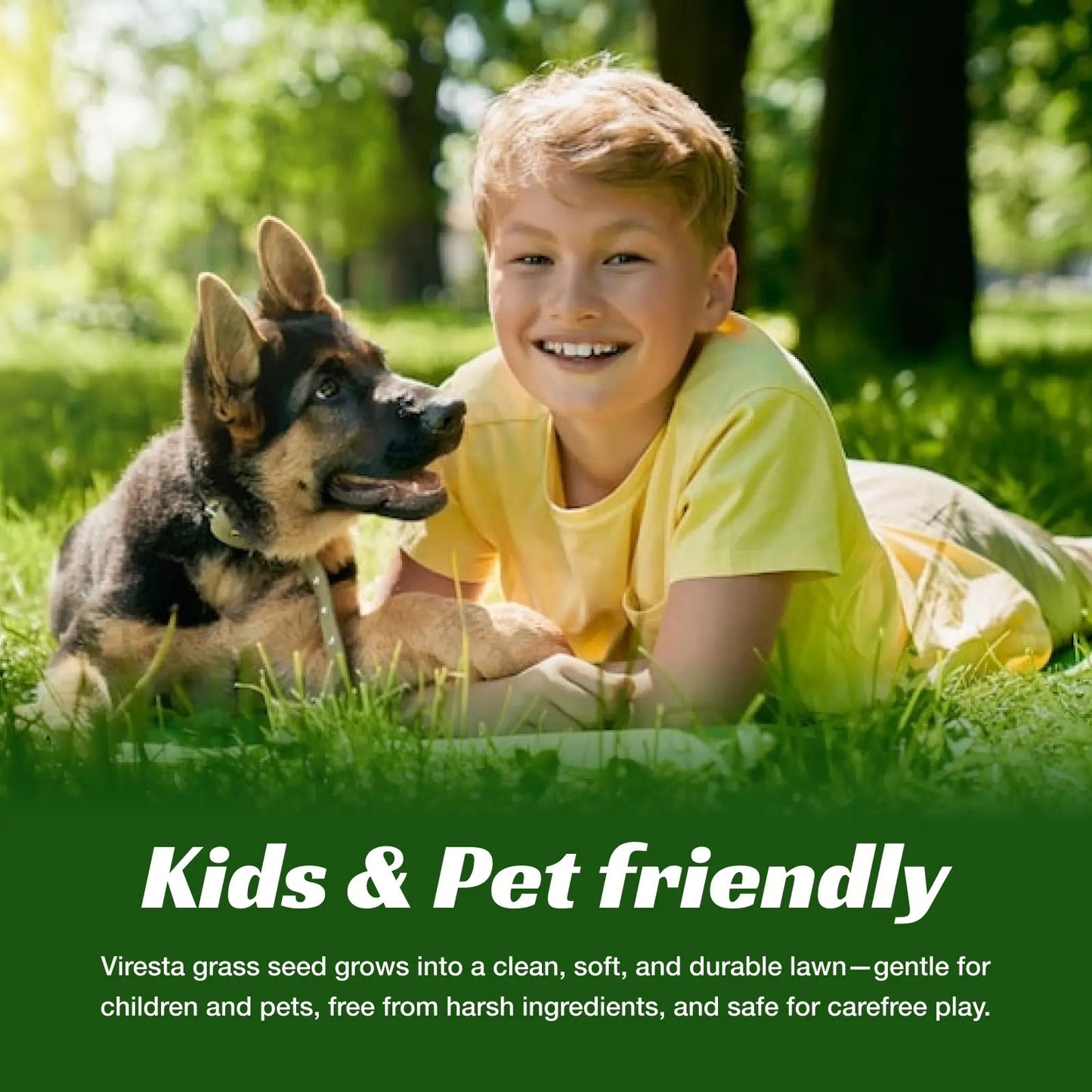 Premium Grass Seeds Sun & Shade - Hardy Lawn Seeds for Dense Green Turf