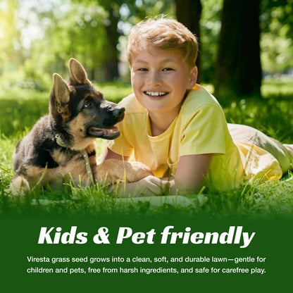 Premium Grass Seeds Sun & Shade - Hardy Lawn Seeds for Dense Green Turf