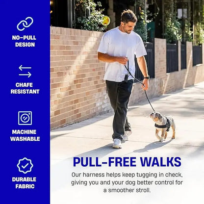 Harness - Easy to Fit No-Pull Design