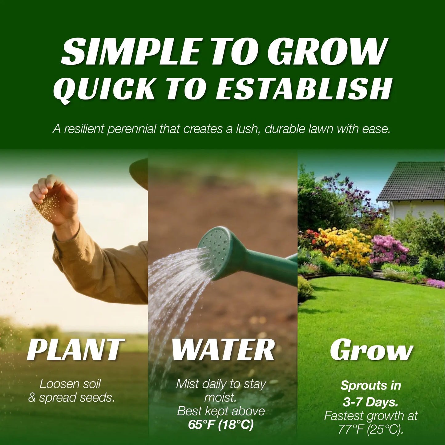 Premium Grass Seeds Sun & Shade - Hardy Lawn Seeds for Dense Green Turf