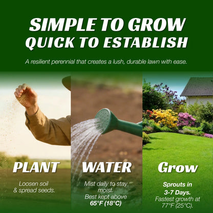Premium Grass Seeds Sun & Shade - Hardy Lawn Seeds for Dense Green Turf