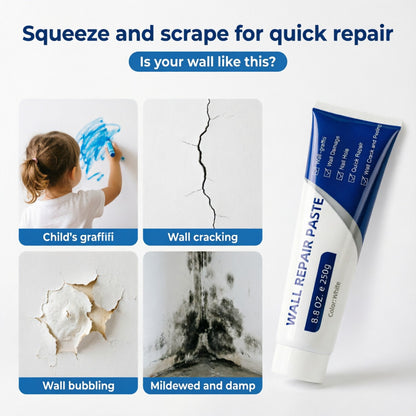 Drywall Patch Repair Kit 250g Wall MendingAgent Multi-functional
